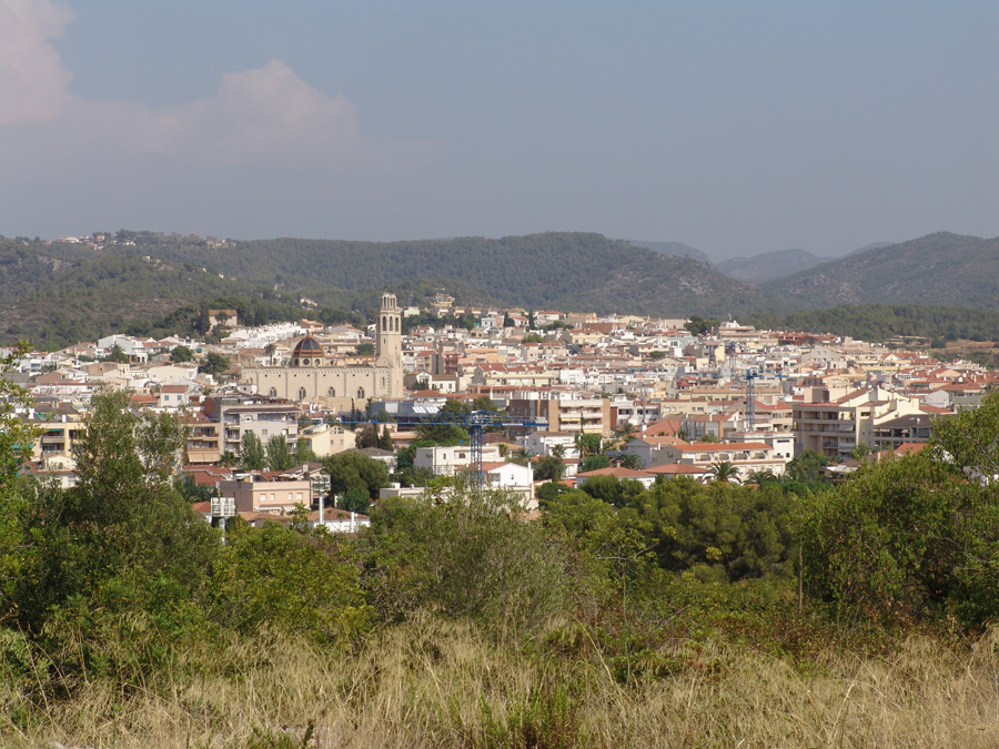 Drim sant pere de 2025 ribes