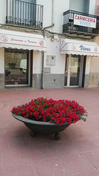 Vives