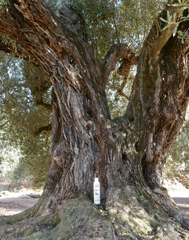 Serrat Natura